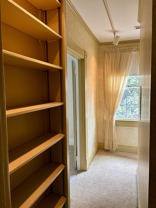 1439 Stanford St, Lancaster, KY 40444 - corridor featuring wallpapered walls, carpet, and rail lighting