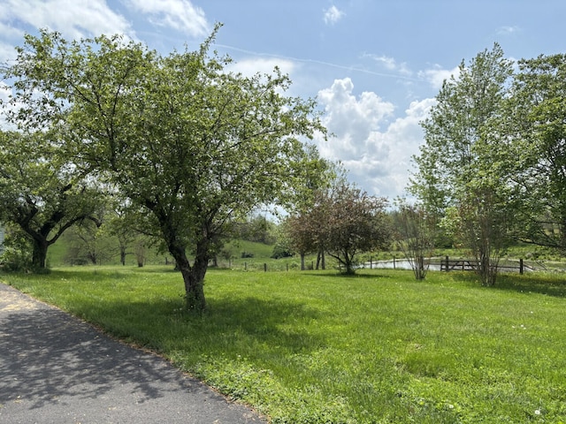 1439 Stanford St, Lancaster, KY 40444 - view of yard with fence