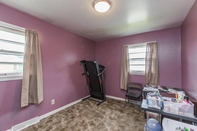 exercise room with healthy amount of natural light, carpet floors, and baseboards