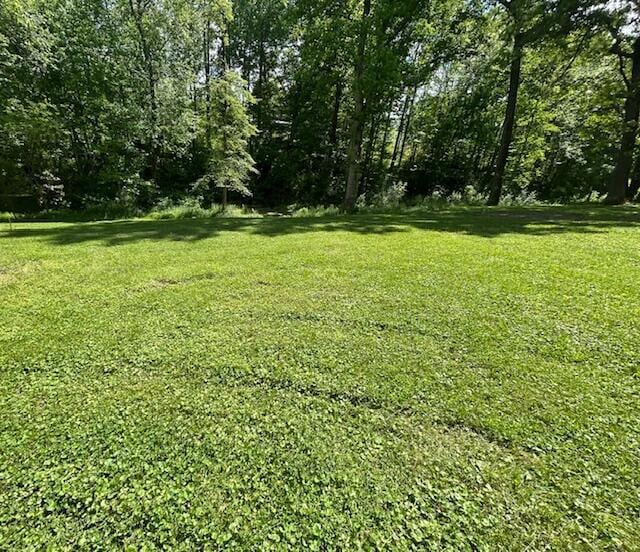 view of grassy yard
