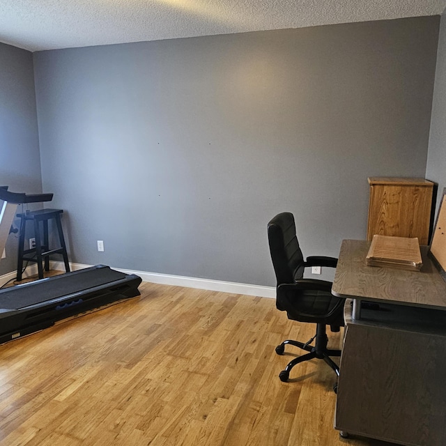 462 New Shiner Hill Rd, Williamsburg, KY 40769 - office with wood finished floors, a textured ceiling, and baseboards