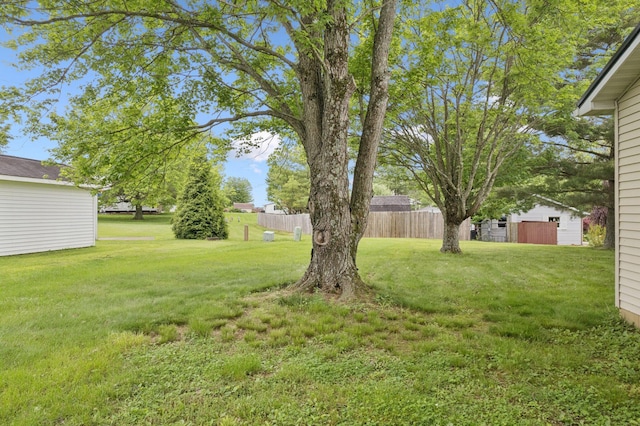 view of yard featuring an outdoor structure and a storage shed