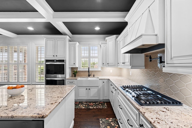 6031 Old S Dr, Richmond, KY 40475 - kitchen with a sink, appliances with stainless steel finishes, premium range hood, ornamental molding, and white cabinets