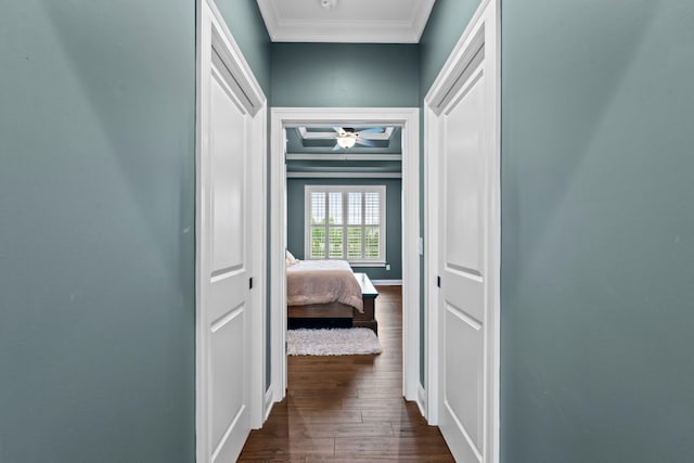 6031 Old S Dr, Richmond, KY 40475 - hallway featuring crown molding, dark wood-type flooring, and baseboards