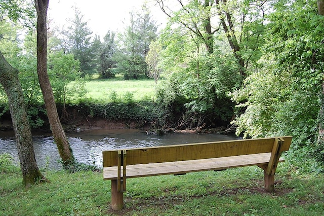 215 Bradley Ln, Lexington, KY 40511 - dock featuring a water view