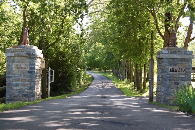 215 Bradley Ln, Lexington, KY 40511 - view of street