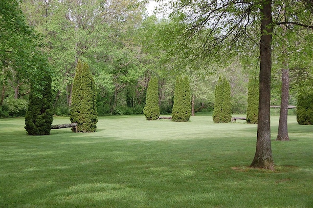215 Bradley Ln, Lexington, KY 40511 - view of property's community featuring a yard