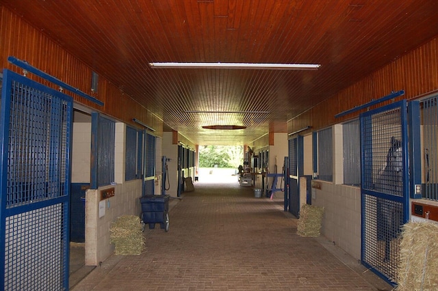 215 Bradley Ln, Lexington, KY 40511 - view of horse barn