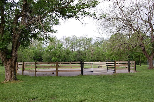 215 Bradley Ln, Lexington, KY 40511 - view of yard
