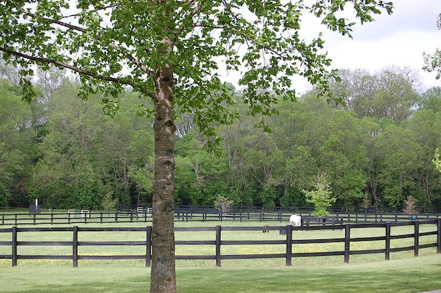 215 Bradley Ln, Lexington, KY 40511 - view of home's community featuring a wooded view