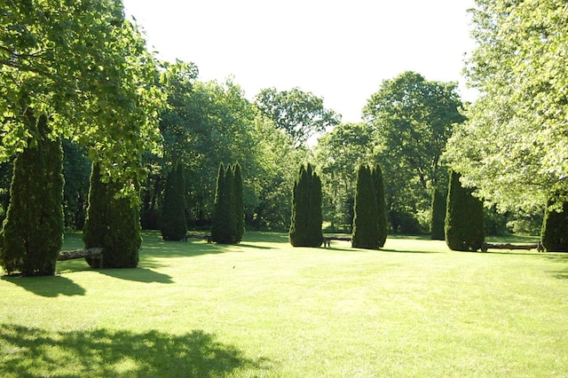 215 Bradley Ln, Lexington, KY 40511 - view of home's community featuring a yard