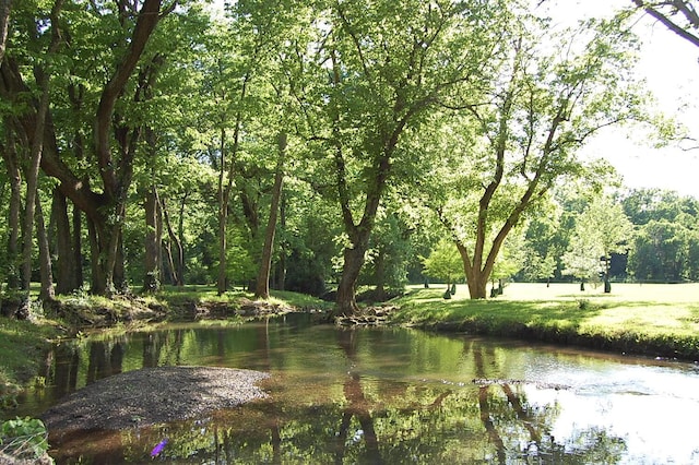 215 Bradley Ln, Lexington, KY 40511 - water view