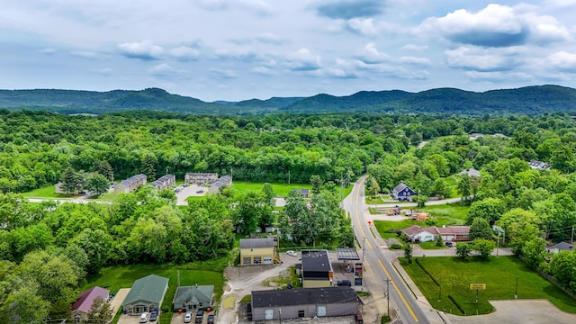 605 Prospect St, Berea, KY 40403 - aerial view of a mountain backdrop and a forest