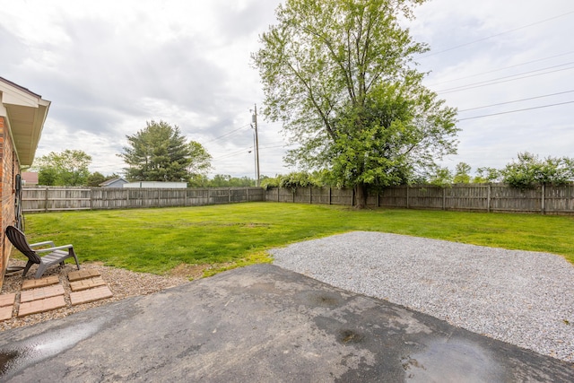 387 W Ila Ave, Danville, KY 40422 - view of yard featuring a patio
