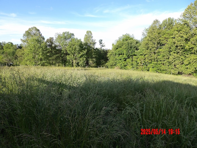 157 Deskins Ln, Frenchburg, KY 40322 - view of woods