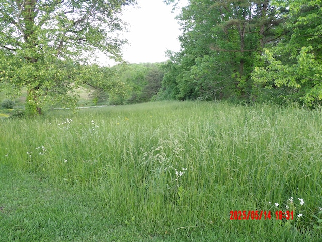 157 Deskins Ln, Frenchburg, KY 40322 - view of wooded area