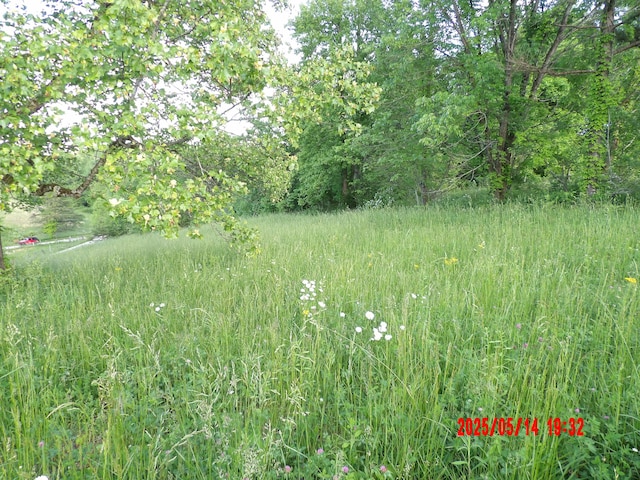 157 Deskins Ln, Frenchburg, KY 40322 - view of nature