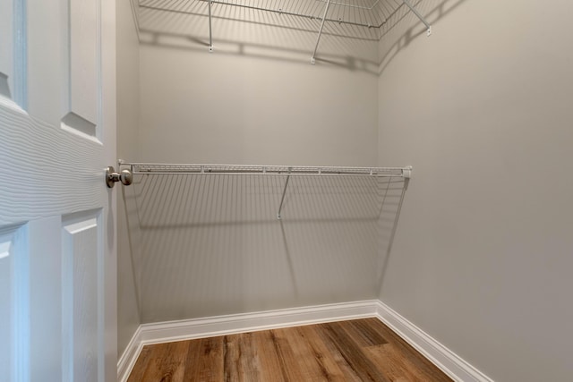 walk in closet featuring wood finished floors