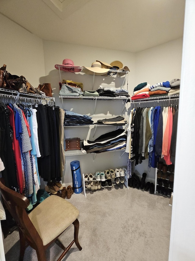 229 Old Station Rd, Frankfort, KY 40601 - walk in closet with carpet