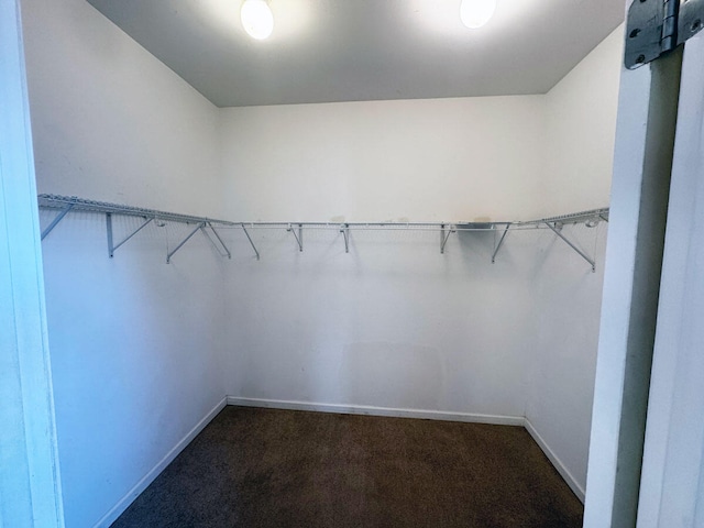 136 Janice Dr, Nicholasville, KY 40356 - walk in closet with dark colored carpet