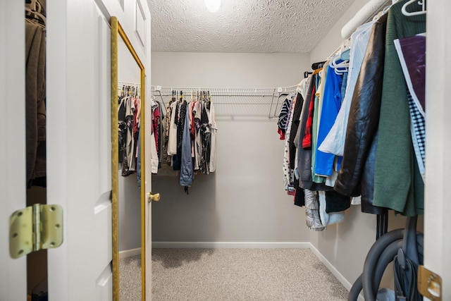 209 Brook Dr, Jeffersonville, KY 40337 - walk in closet featuring carpet floors