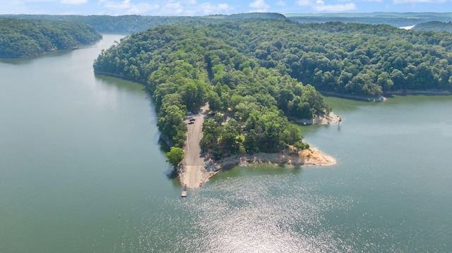 61 Cumberland Cv, Nancy, KY 42544 - aerial view of a forest and a nearby body of water