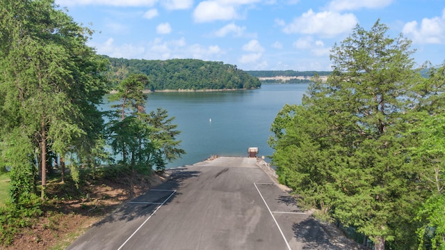 61 Cumberland Cv, Nancy, KY 42544 - water view with a heavily wooded area