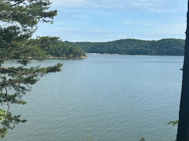 61 Cumberland Cv, Nancy, KY 42544 - water view featuring a heavily wooded area