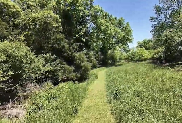269 Ashley Camp Rd, Harrodsburg, KY 40330 - view of tree filled area