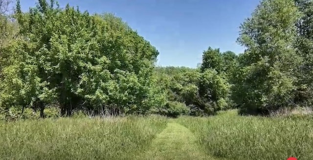 269 Ashley Camp Rd, Harrodsburg, KY 40330 - view of nature