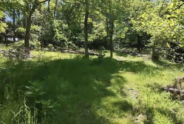 269 Ashley Camp Rd, Harrodsburg, KY 40330 - view of nature