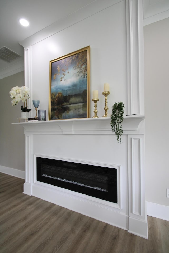 840 A T Dean Rd, Harrodsburg, KY 40330 - detailed view of a glass covered fireplace, wood finished floors, and baseboards