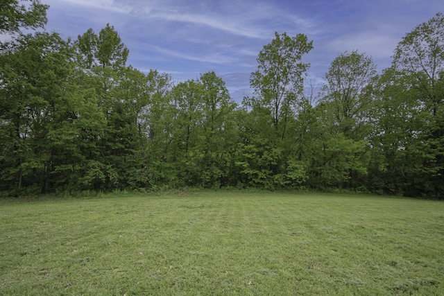 840 A T Dean Rd, Harrodsburg, KY 40330 - view of green lawn