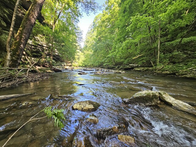 840 A T Dean Rd, Harrodsburg, KY 40330 - water view with a forest