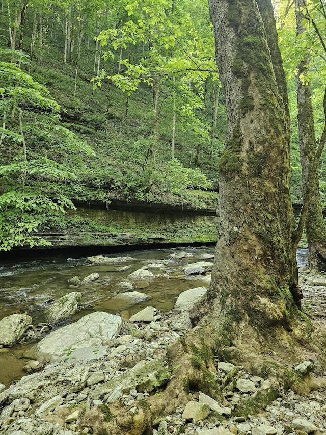 840 A T Dean Rd, Harrodsburg, KY 40330 - view of woods