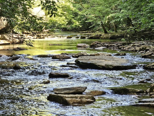 840 A T Dean Rd, Harrodsburg, KY 40330 - view of nature