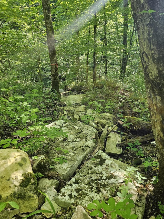 840 A T Dean Rd, Harrodsburg, KY 40330 - view of woods