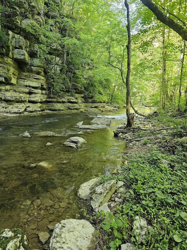 840 A T Dean Rd, Harrodsburg, KY 40330 - view of tree filled area