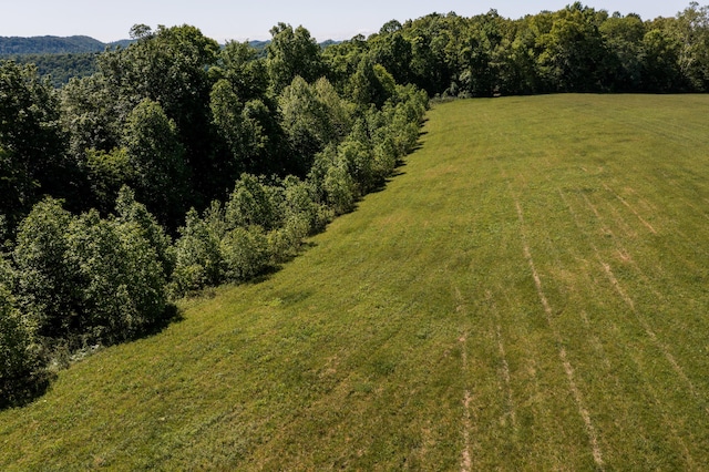 388 Mc Roberts Rd, Wallingford, KY 41093 - aerial view