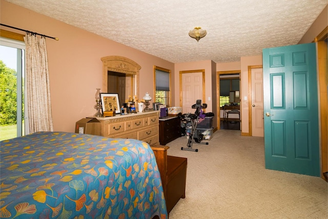 388 Mc Roberts Rd, Wallingford, KY 41093 - bedroom featuring light carpet, a textured ceiling, and access to outside