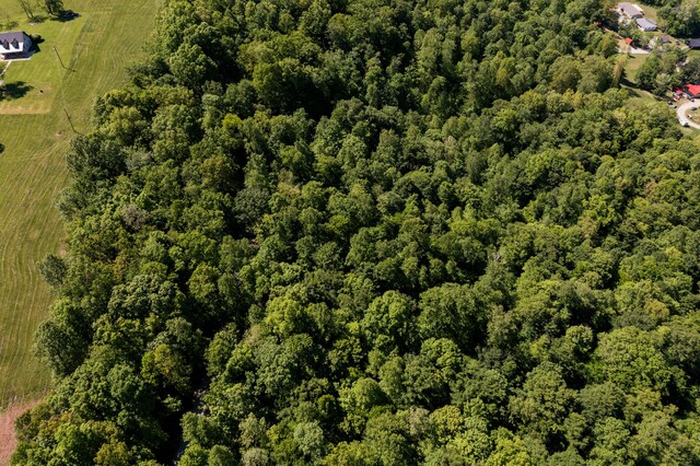 388 Mc Roberts Rd, Wallingford, KY 41093 - bird's eye view