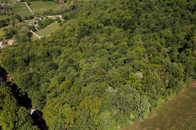 388 Mc Roberts Rd, Wallingford, KY 41093 - aerial view of property and surrounding area with a heavily wooded area