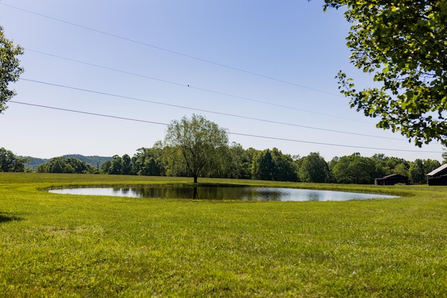 388 Mc Roberts Rd, Wallingford, KY 41093 - water view
