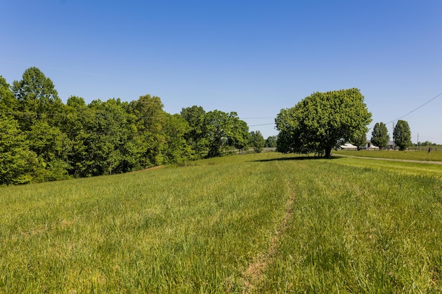388 Mc Roberts Rd, Wallingford, KY 41093 - view of yard featuring a view of countryside