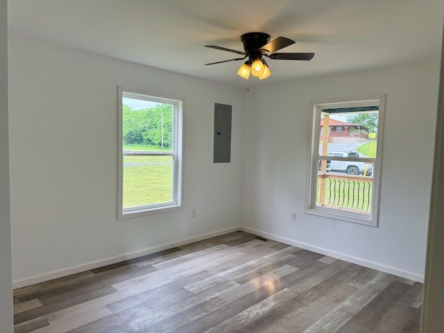 439 Logan Antle Rd, Jamestown, KY 42629 - spare room with electric panel, plenty of natural light, and wood finished floors