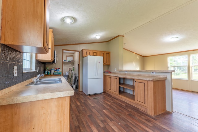 662 Clifty Hill Rd, Science Hill, KY 42553 - kitchen with freestanding refrigerator, a sink, vaulted ceiling, a textured ceiling, and crown molding