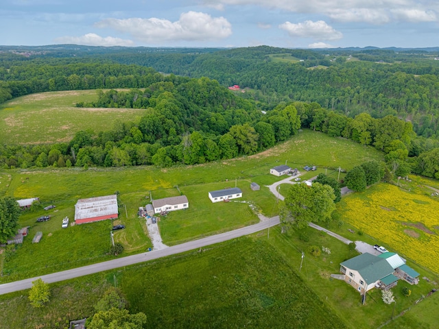 662 Clifty Hill Rd, Science Hill, KY 42553 - aerial view of property and surrounding area with a forest