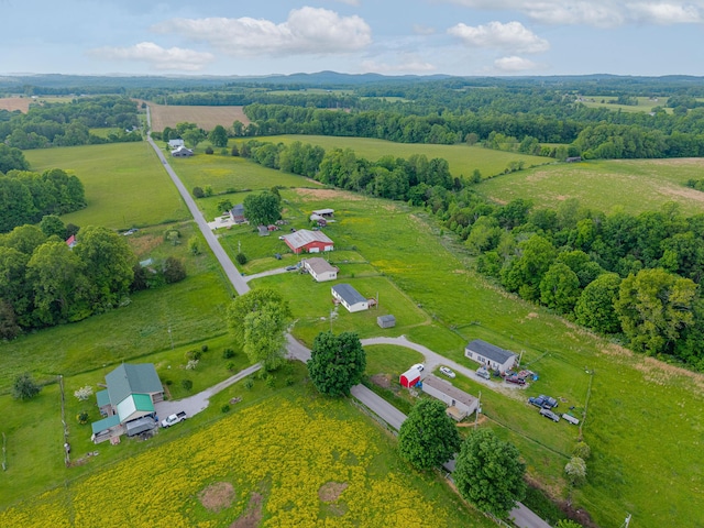662 Clifty Hill Rd, Science Hill, KY 42553 - aerial view of sparsely populated area featuring a pastoral area