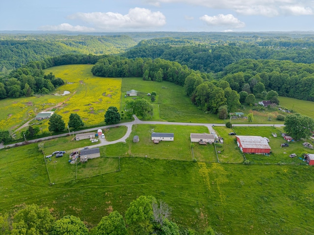 662 Clifty Hill Rd, Science Hill, KY 42553 - view of rural area with a heavily wooded area and agricultural land