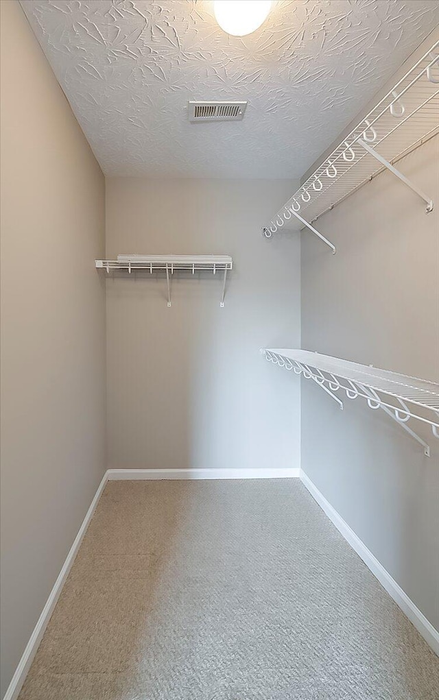 spacious closet featuring carpet